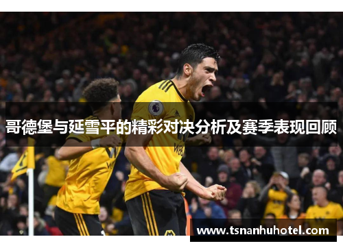 哥德堡与延雪平的精彩对决分析及赛季表现回顾