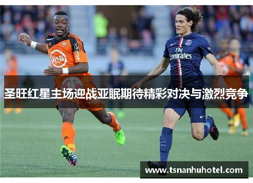 圣旺红星主场迎战亚眠期待精彩对决与激烈竞争